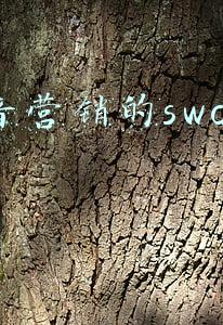 市场营销环境swot分析(传统市场营销市场分析方法—SWOT分析)