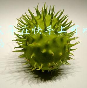 未成年可以写小说赚钱(小学生沉迷写玄幻小说走红，同学直呼“大师”，网络作者好当吗？)
