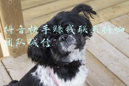 抖音快手赚钱联系抖咖团队诚信