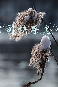 传媒公司快手怎么赚钱吗