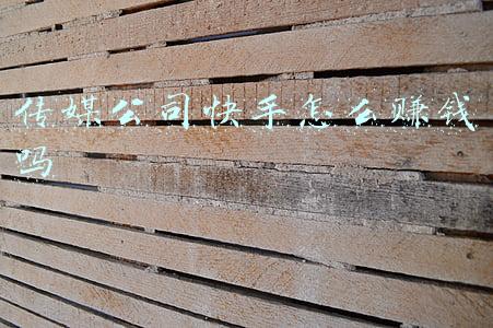 传媒公司快手怎么赚钱吗