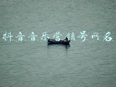 抖音音乐营销号网名