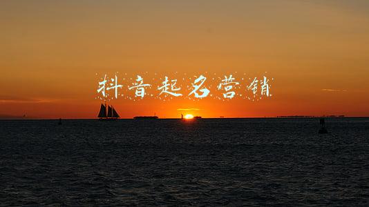 抖音起名营销