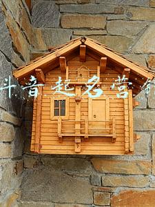 抖音取什么名好(高雅抖音名字大全)