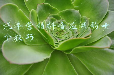 汽车营销抖音应用的十个技巧