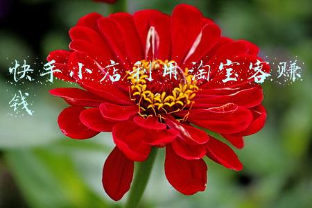 快手添加淘宝客赚佣金(李佳琦、薇娅一晚带货百亿，谁的盛宴？又成就了谁？)