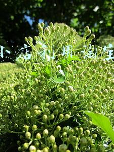 快手小店怎么添加淘宝商品赚佣金(分享一个在头条做小视频赚钱的方法，教你开通电商工具箱赚佣金)