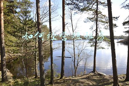 短期房怎么租比较好?（短期房怎么租比较好）