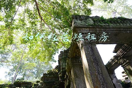 怎么经营家庭和婚姻_如何经营婚姻家庭关系