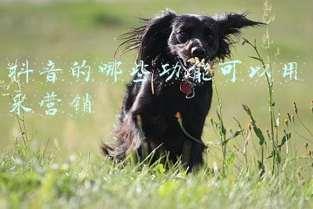 量功能展开一般是用来(同筑冰雪梦 一起向未来——习近平总书记引领冬奥之路)