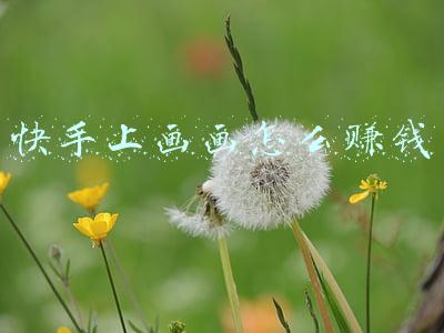 快手上画画怎么赚钱