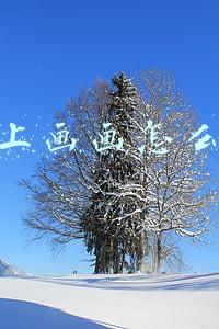 画画挣钱怎么挣(几分钟做张表情包就赚几千？看完这几点，你不会画画也能做到)