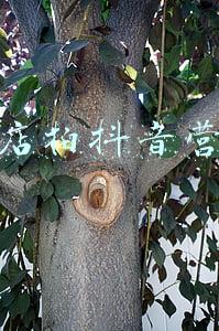 饭店拍抖音营销