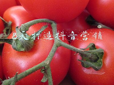 8天打造抖音营销