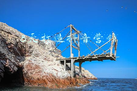 8天打造抖音营销