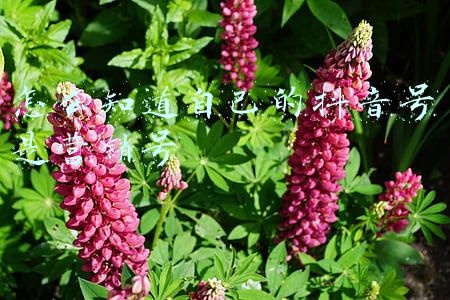 怎么知道手机号(知道对方的手机号码，怎么通过手机号码找人？)