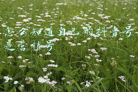 知道手机号查人位置(电话拉黑、不接，只知道手机号码怎么寻人)