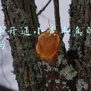 快手开通小黄车需要多少钱才能开通(玉匠人小徐的长期主义：从在快手上卖第一块玉开始)