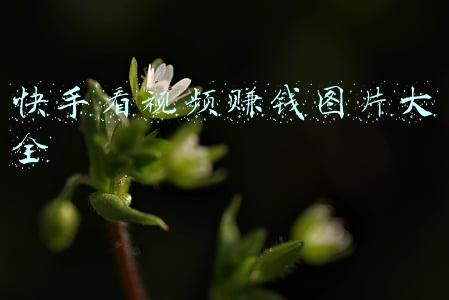 快手看视频赚钱图片大全