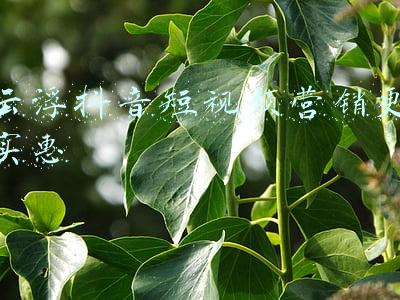 云浮新闻视频(司机服务区自行修车遭阻拦，广东云浮警方：3人涉嫌强迫交易被抓)