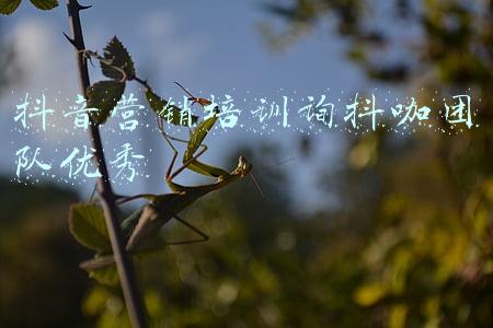 抖音推广专员(如何从0-1搭建抖音电商团队？（讲透全流程+落地细节）)