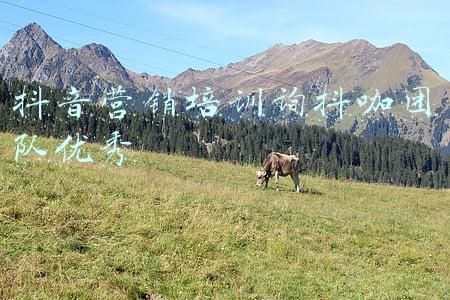 聚亿咖纹绣团队怎么样(美业不为人知的超级工具，赚钱像呼吸一样简单)