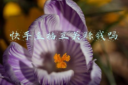 快手直播互动游戏功能(快手新春主题活动游戏超级虎来了，陪你虎虎生威)