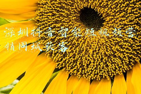 深圳抖音智能短视频营销同城获客