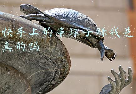 快手上卖珍珠的靠谱吗(珠宝鉴定师揭直播开蚌骗局，开出的珍珠自带打孔)