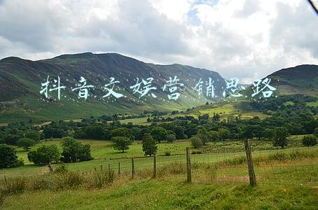 文娱演出经营许可证(营业性演出经营许可证办理的整个流程？)