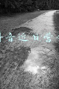 抖音近日营销