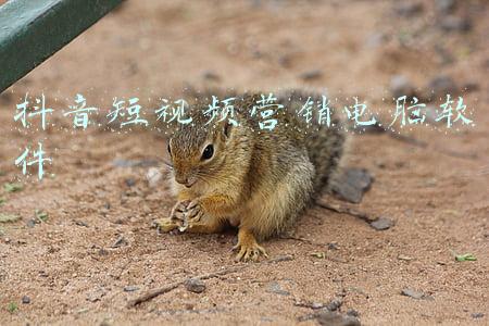 抖音短视频营销电脑软件