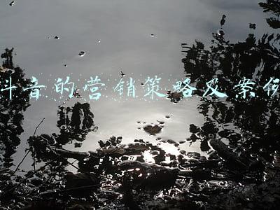 抖音的营销策略及案例