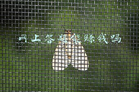 网上答题赚钱平台有哪些(答题也能赚钱，坑人的手机软件你知道几种？赚钱套路大揭秘)