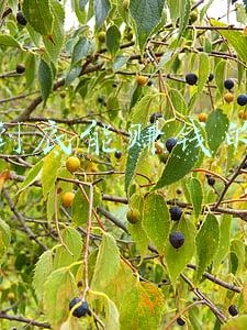 网上赚钱有哪些项目可以长期做(长期稳定月入过万的项目)