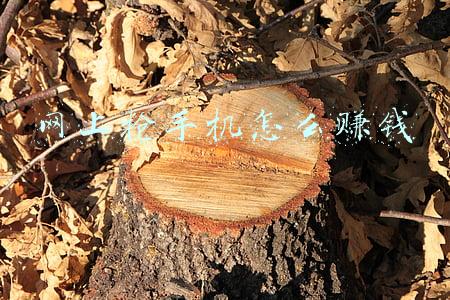 网上抢手机怎么赚钱