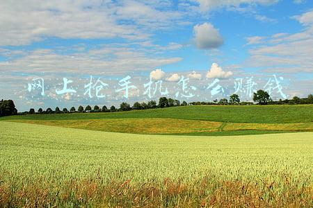 一分钱抢手机(“闲鱼”上一分钱抽手机 700多名受害者上当)