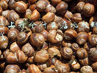 淘宝网虚拟店怎么开(淘宝开店卖虚拟商品怎么进货？需要多少费用？)