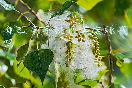 手串怎么卖(手上有玉，如何卖与他人？)