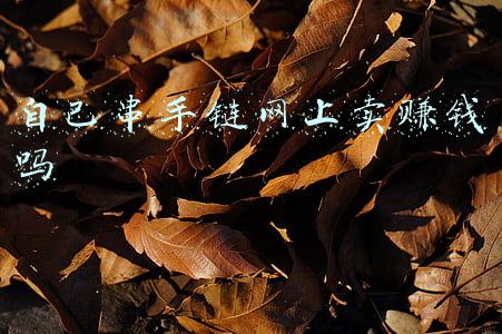 网上卖的手串是真的吗(线上买文玩假货遍地，年轻人的智商税交给了谁？)