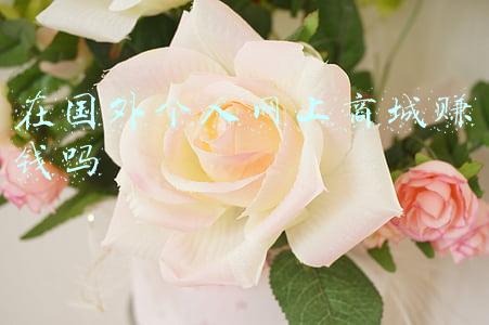 网上商城国外研究现状(今年全球两大应用商店合计收入料增近20% 达1330亿美元)