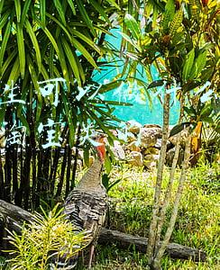 网上适合学生赚钱方法有哪些(学生党在家赚钱方法)