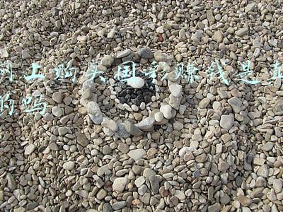 网上购买国彩赚钱是真的吗