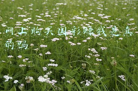 国彩网合买大厅(新冠核酸检测混采“升级”，20合1后价格还能再降吗？)