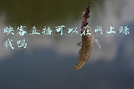 映客主播一天能赚多少(映客主播群像：月入超百万，半年跻身头部，“做直播要接受起伏”)