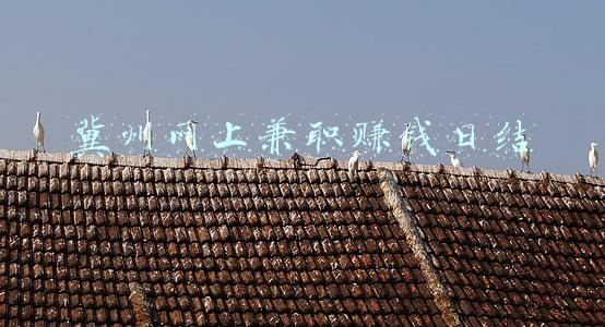 冀州网上兼职赚钱日结