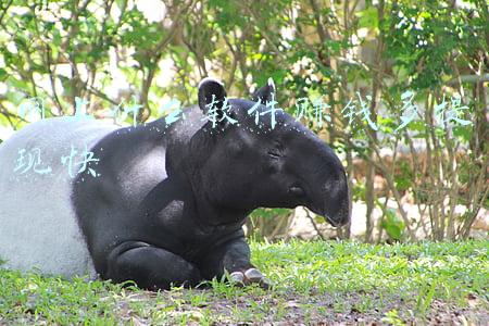 网上陪人聊天赚钱软件(起底交友APP：称兼职日入300，陪聊员不乏“孩子他妈”)