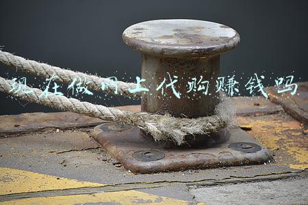 网上代购的是正品吗(网上购买的“正品”与实际不符，应怎样处理？)