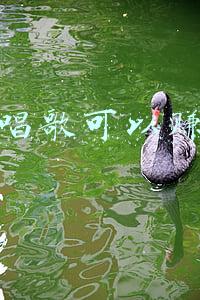 网上唱歌怎么赚钱(利用兴趣爱好做歌曲代唱，无需成本月入过万)