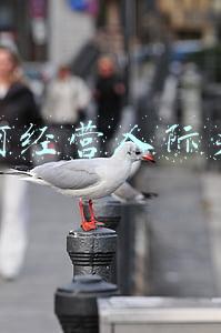 如何经营人际关系的书籍(关于人际关系的书籍)